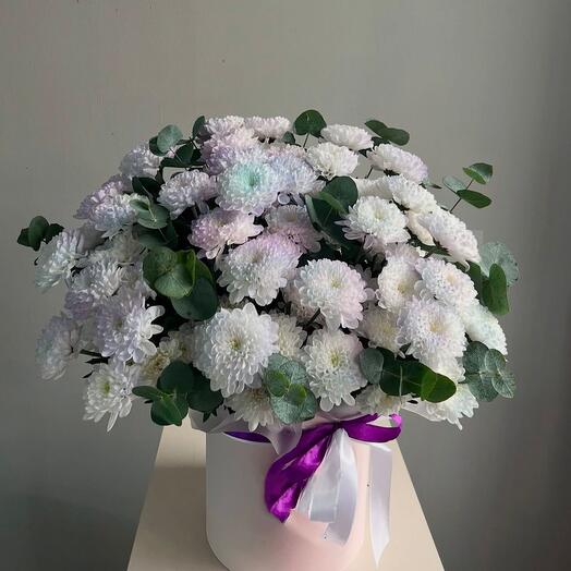 Коробочка кустовых хризантем и эвкалипта