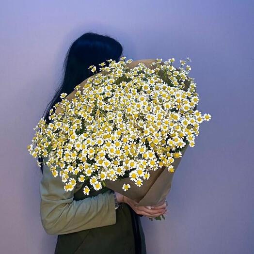 Ромашка кустовая 21шт