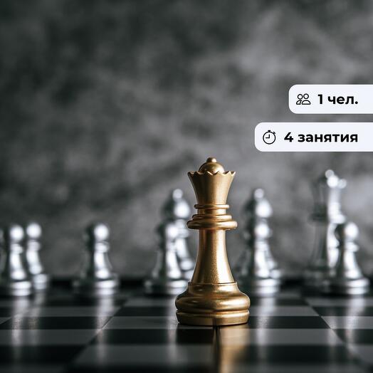 Лабиринты шахмат. Курс по игре в шахматы