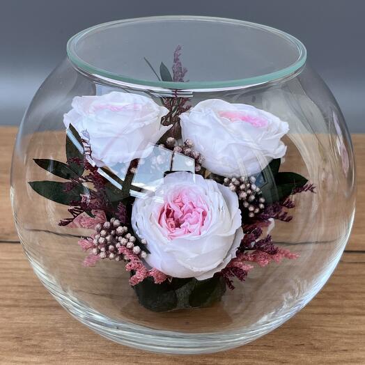 Натуральные пионы в стекле, вакуум (RF2.5770wp)