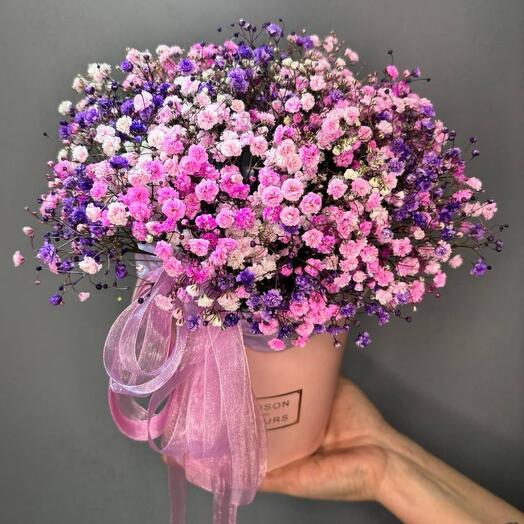 Розовая и сиреневая гипсофила в коробке