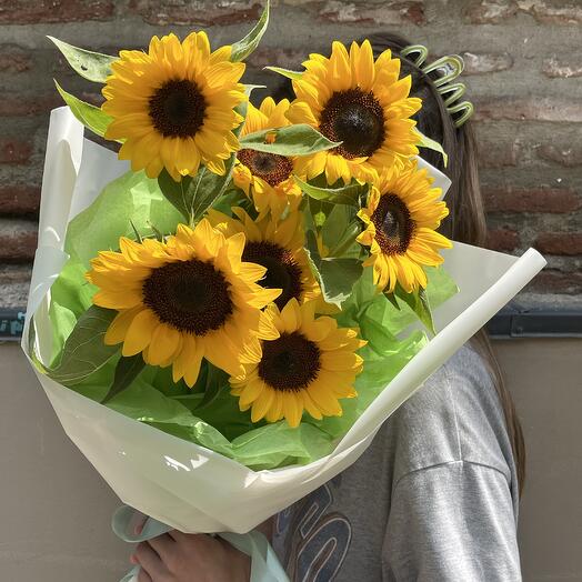 Sunflowers