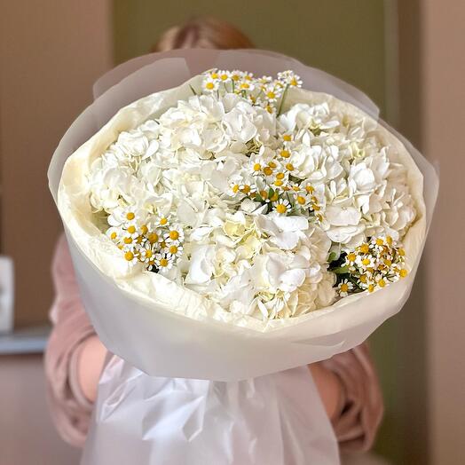 Гортензии с ромашками