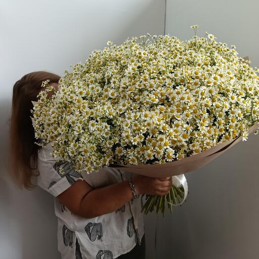 Букет ромашек кустовых в крафте 075
