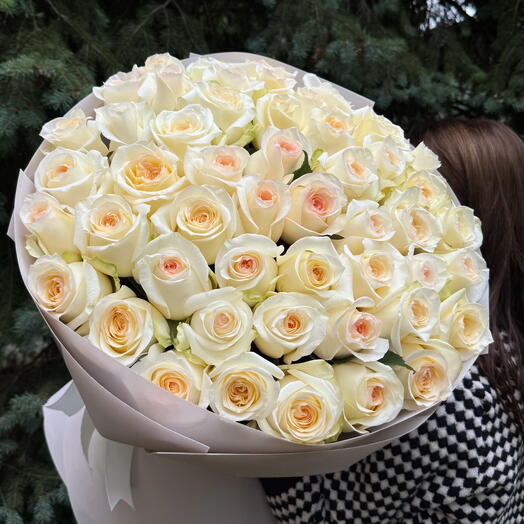 51 Rose Bianche Premium „Romanticismo Leggero