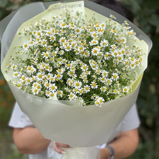 Ромашки для моей Милашки 😍