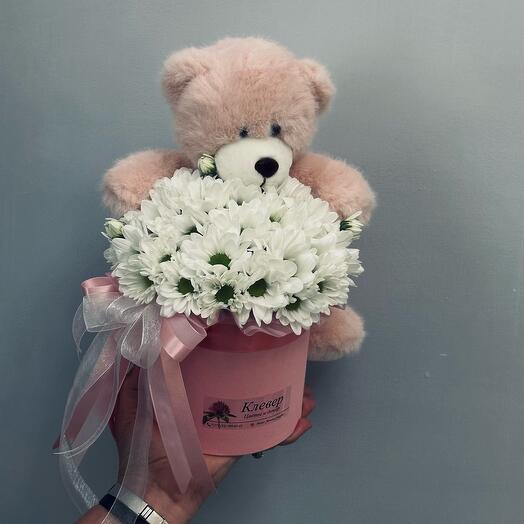 Composition of chamomile and teddy bear