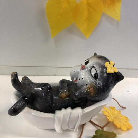Котик релакс