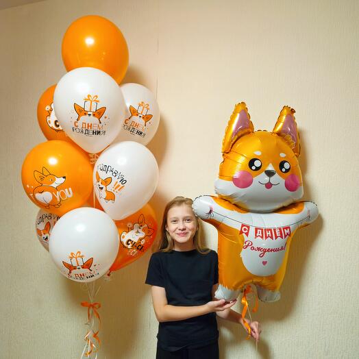 Воздушные шары оранжевые с рисунками собака корги, щенки корги, с днем рождения мальчику, девочке, сыну, дочке-11шаров
