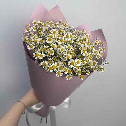 Ароматные ромашки🌸 монобукет комплимент