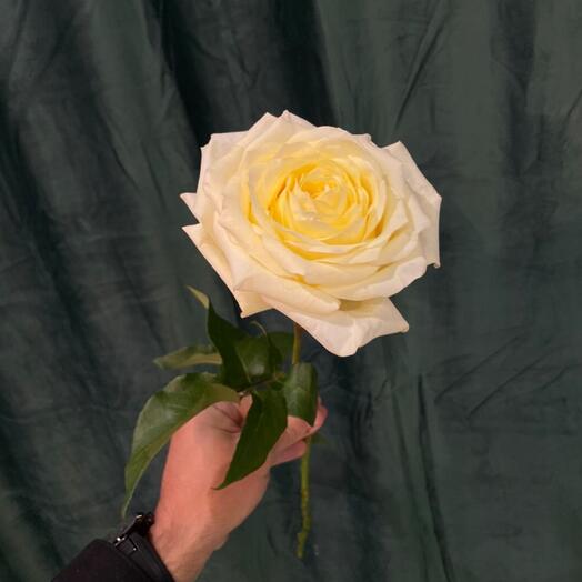 Молочный шоколад