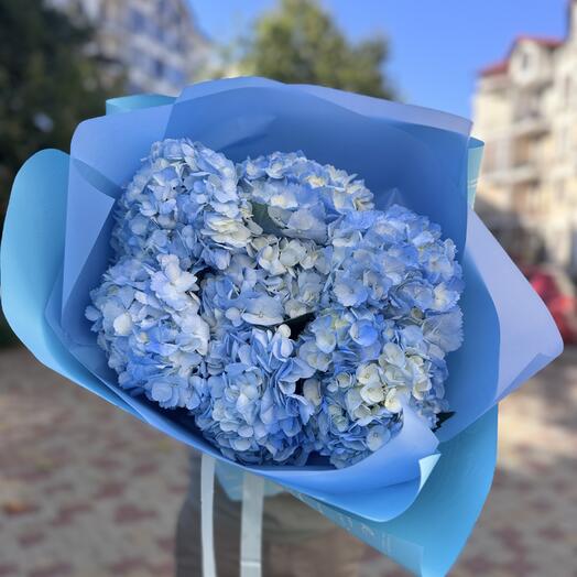 Букет гортензий небесных