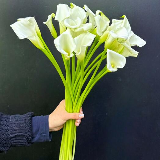 Монобукет из калл 💐