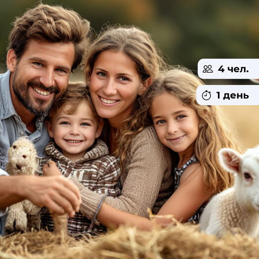 Место перезагрузки. Отдых в домике А-фрейм и экскурсия по Ранчо