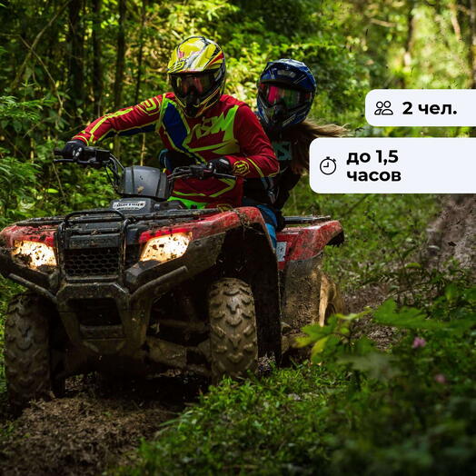 Колхидский лес. Экскурсионный тур на квадроцикле