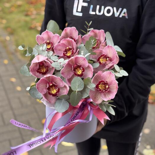 Цимбидиум в коробке