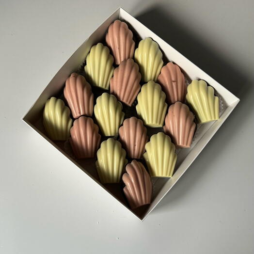 Berry_choco_mo