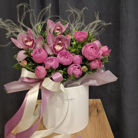 Орхідея в коробці