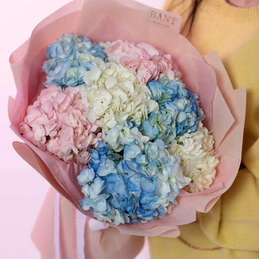 7 гортензий  нежных