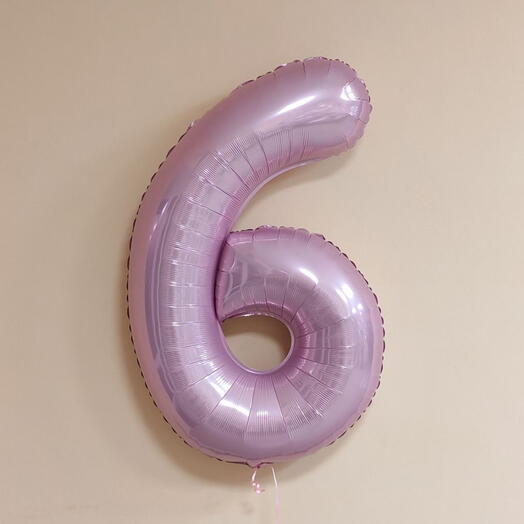 Шар Цифра фламинго 6