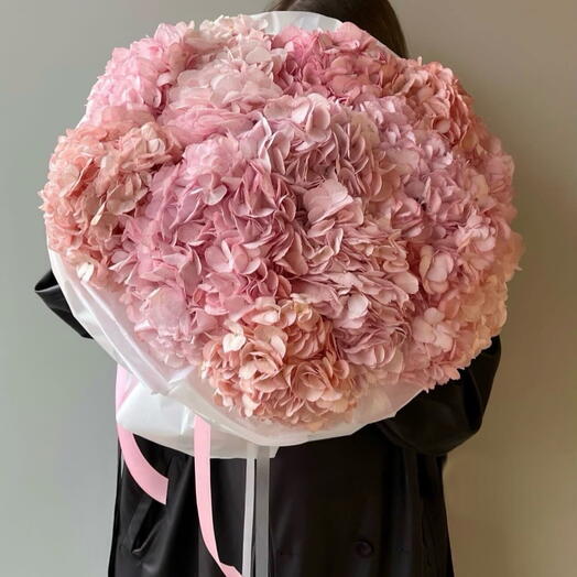Hydrangea s bouquet