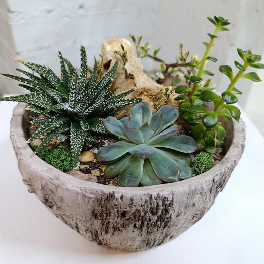 Флорариум в декоративном кашпо День Матери