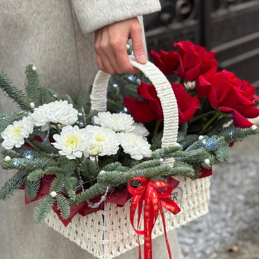 Композиция с нобилесом