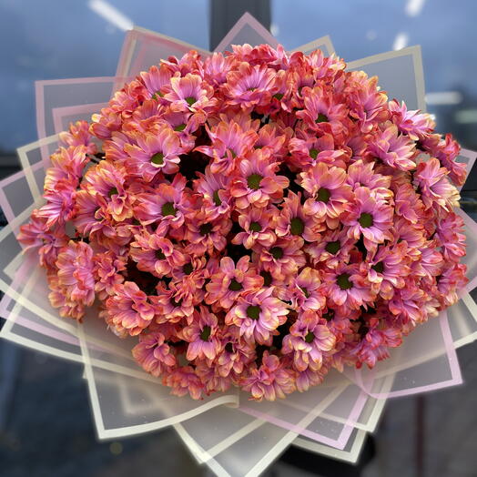 Ромашковая хризантема «Фаер Бол» 21 ветка