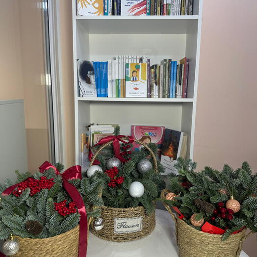 Композиции из Нобилиса