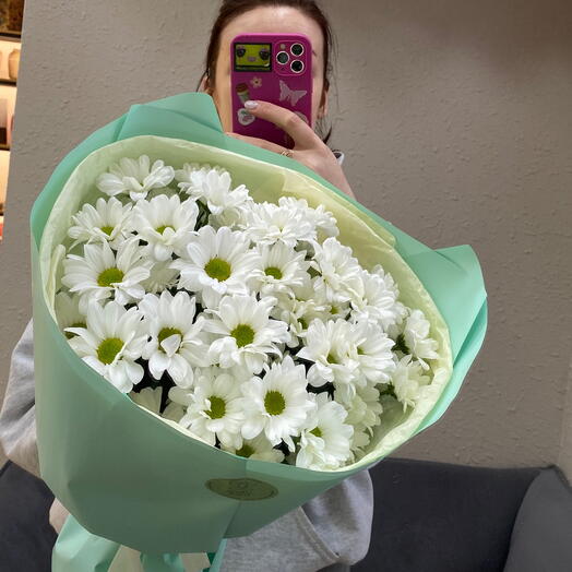Любимые ромашки🤍