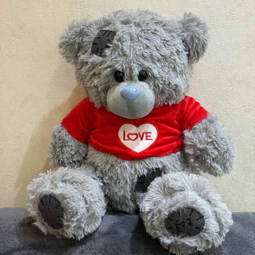 Мишка Тедди 01