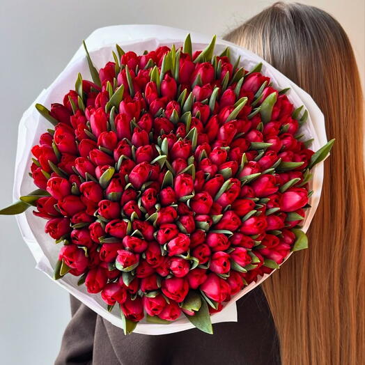Тюльпан 🌷 151