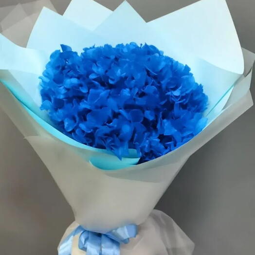 Синяя Гортензия стабилизированная