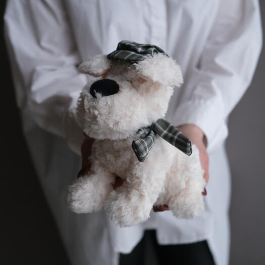 Игрушка мягконабивная "Собака кремовая в кепочке и шарфике", 20 см