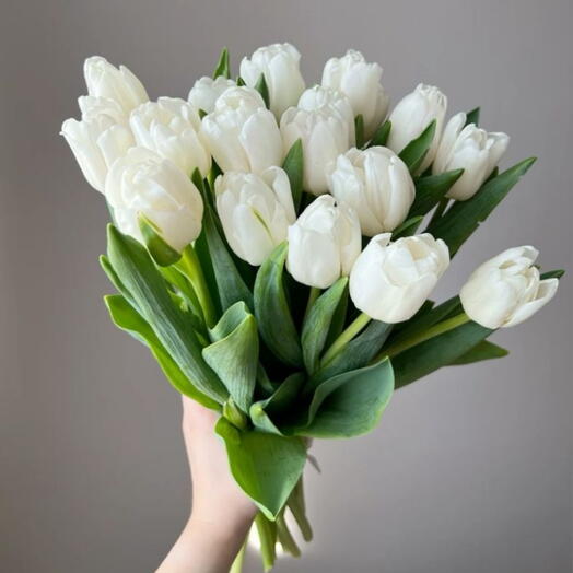 Букет из белых тюльпанов