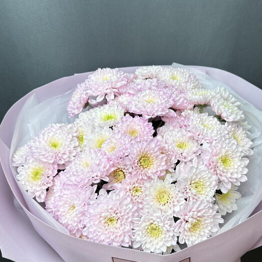 Хризантема