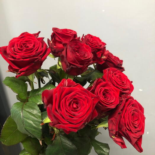 Монобукет из красной 🌹