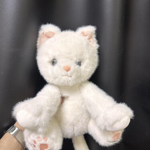 Котик