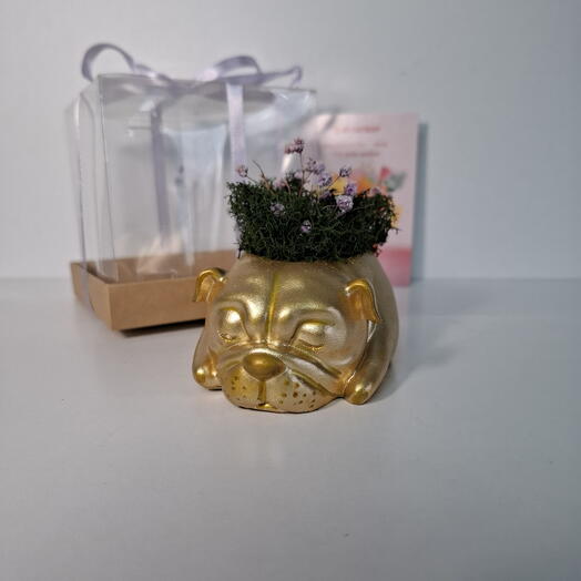 Декор настольный ручной работы  - собачка  со стабилизированным мхом , подарок на 8 марта