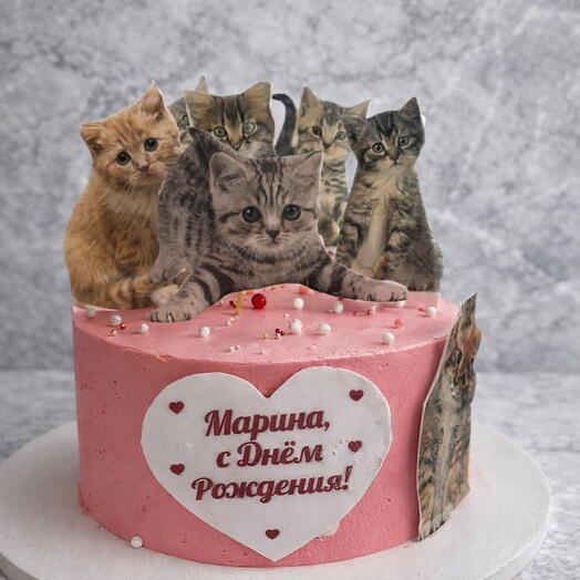Торт с котиками