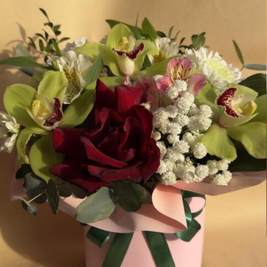 Королевская орхидея