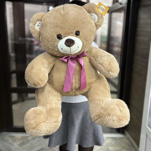 Мишаня