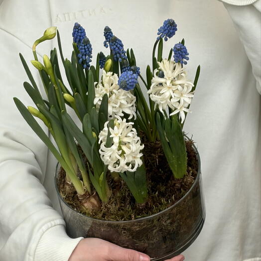 Кашпо с первоцветами