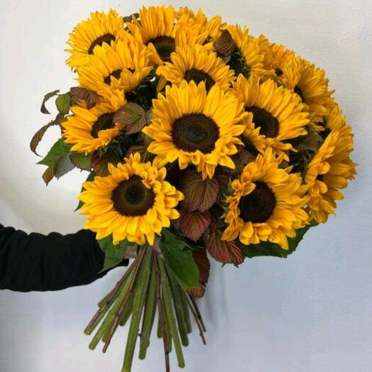 🌻Вау-букет, Пышные Подсолнухи, 19 штук