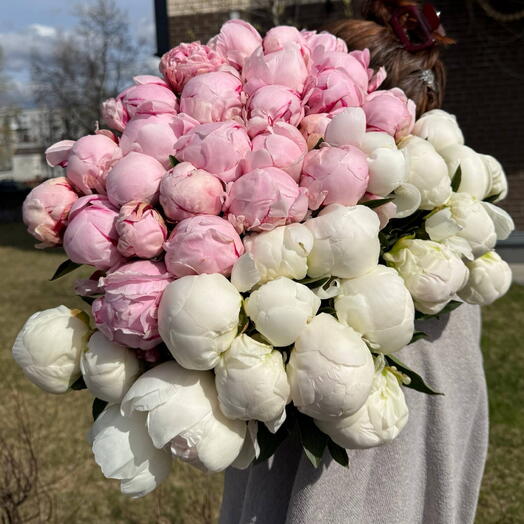 Охапка пионов (розовые и белые 45 шт)
