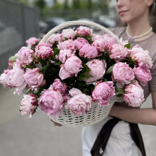ПИОНОМАНИЯ 🩷Корзина пионов 51 пион Сара Бернар Пионы Дофаминовый букет