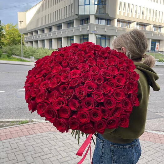 Бордовые розы "Эквадор", 60 см. 101 шт