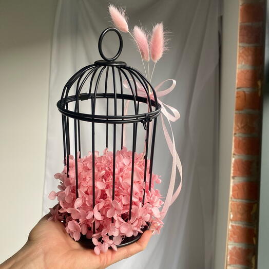 Клетка со стабилизированной гортензией🌸