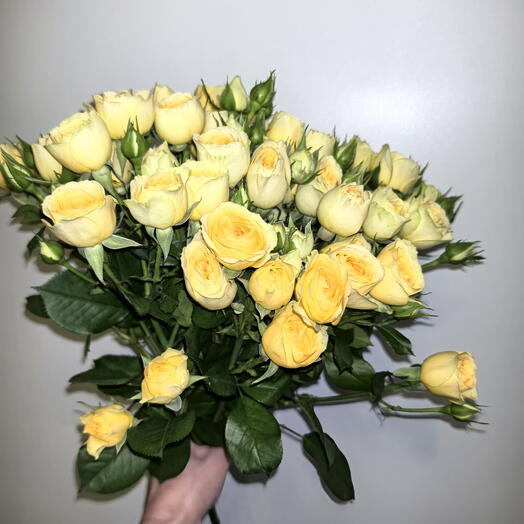 Букет из 9 желтой кустовой розы
