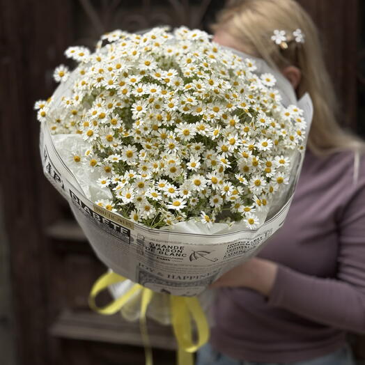 Tanacetum